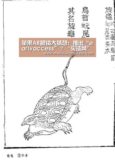 苹果AR眼镜大猜想：推出“earlyaccess”？‘买球网’