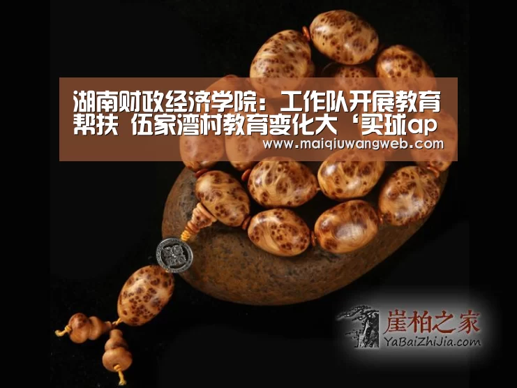 湖南财政经济学院：工作队开展教育帮扶  伍家湾村教育变化大‘买球app下载app’