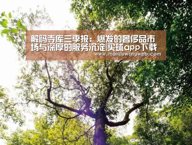 买球app下载官网