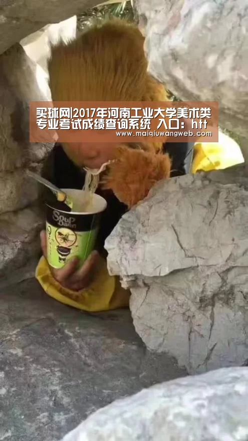 买球网|2017年河南工业大学美术类专业考试成绩查询系统 入口:http://zs.haut.edu.cn/yishu/y ..(图4) 买球app下载