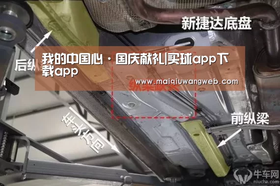 买球网